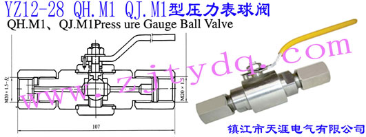 YZ12-28 QH.M1 QJ.M1͉yYZ12-28 QH.M1 QJ.M1 Pressure Gauge Ball Valve